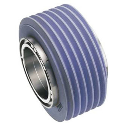 Worm grinding wheel for gear